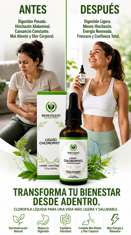 CloroFresh | Detox, Energía y Frescura desde Dentro